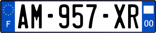 AM-957-XR