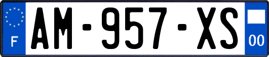 AM-957-XS