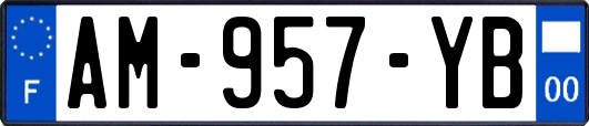 AM-957-YB