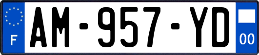 AM-957-YD
