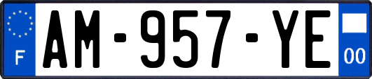 AM-957-YE