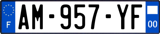 AM-957-YF