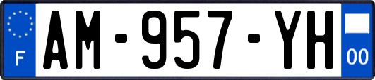 AM-957-YH