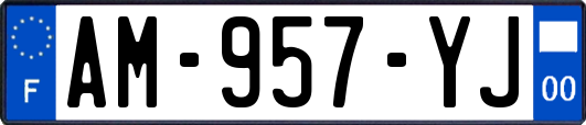 AM-957-YJ