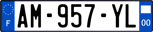 AM-957-YL