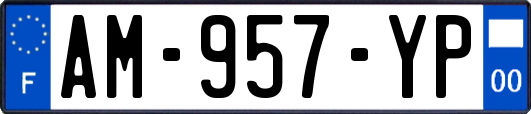 AM-957-YP