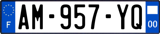 AM-957-YQ