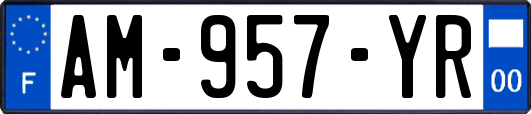 AM-957-YR