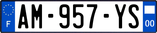 AM-957-YS
