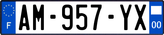 AM-957-YX