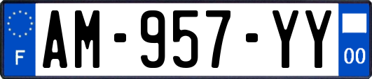 AM-957-YY