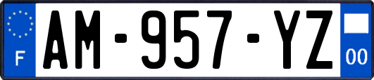 AM-957-YZ