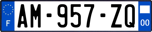 AM-957-ZQ