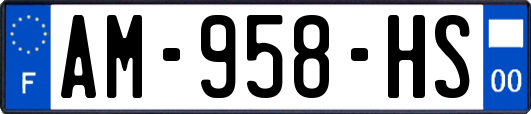 AM-958-HS