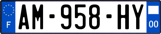 AM-958-HY