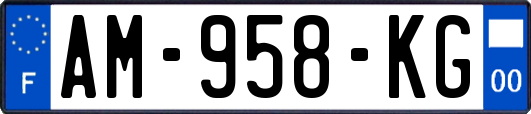 AM-958-KG