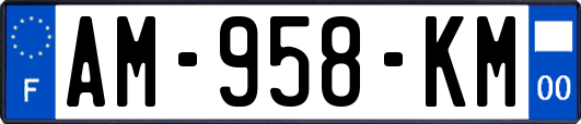 AM-958-KM