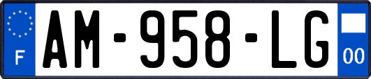 AM-958-LG