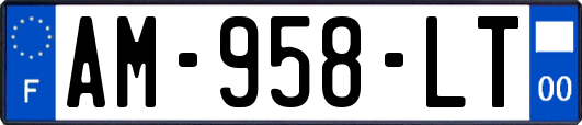 AM-958-LT
