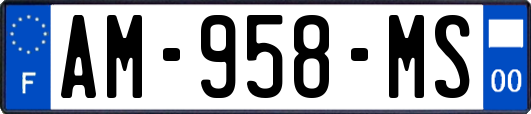 AM-958-MS