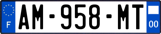AM-958-MT