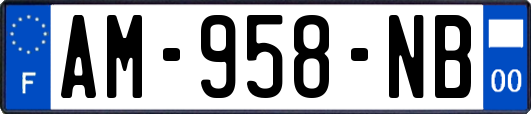 AM-958-NB
