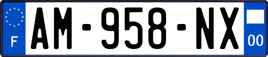 AM-958-NX