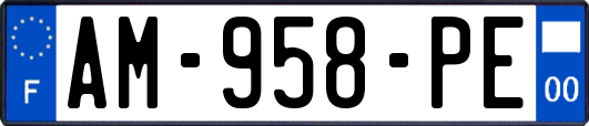 AM-958-PE