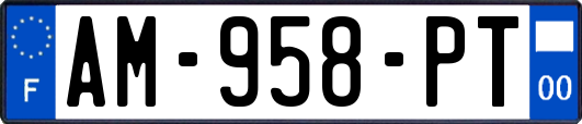 AM-958-PT