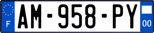AM-958-PY