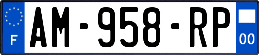 AM-958-RP