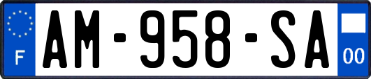 AM-958-SA