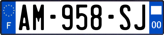 AM-958-SJ