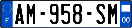 AM-958-SM