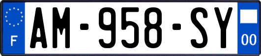 AM-958-SY