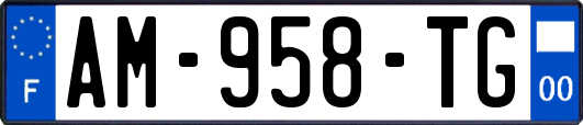 AM-958-TG