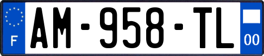 AM-958-TL
