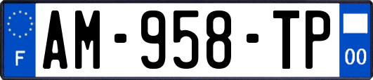 AM-958-TP