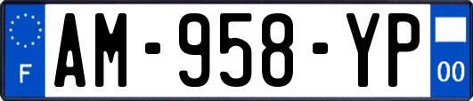 AM-958-YP