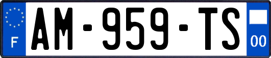 AM-959-TS