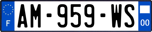 AM-959-WS