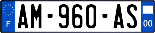 AM-960-AS