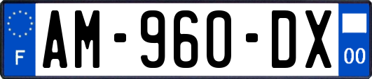 AM-960-DX