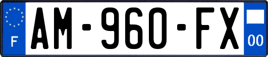 AM-960-FX