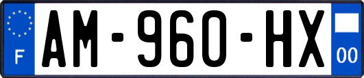 AM-960-HX