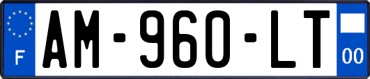 AM-960-LT
