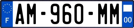 AM-960-MM