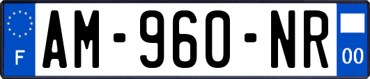 AM-960-NR
