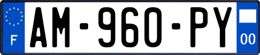 AM-960-PY