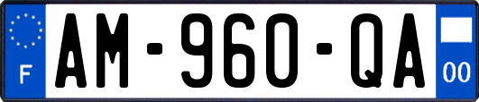 AM-960-QA